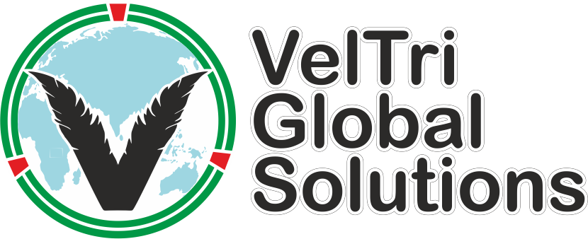 Veltri Global Solutions